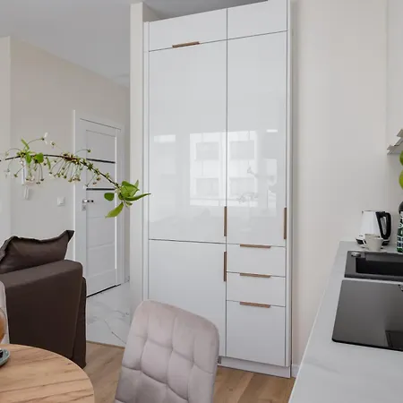 Ts Gold New Town Apartment & Free Private Parking Stettin Exterior foto