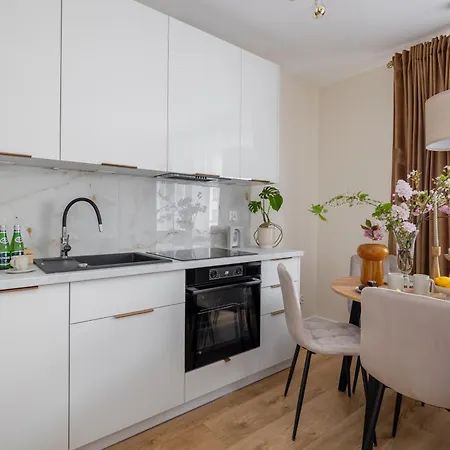 Ts Gold New Town Apartment & Free Private Parking Stettin Exterior foto